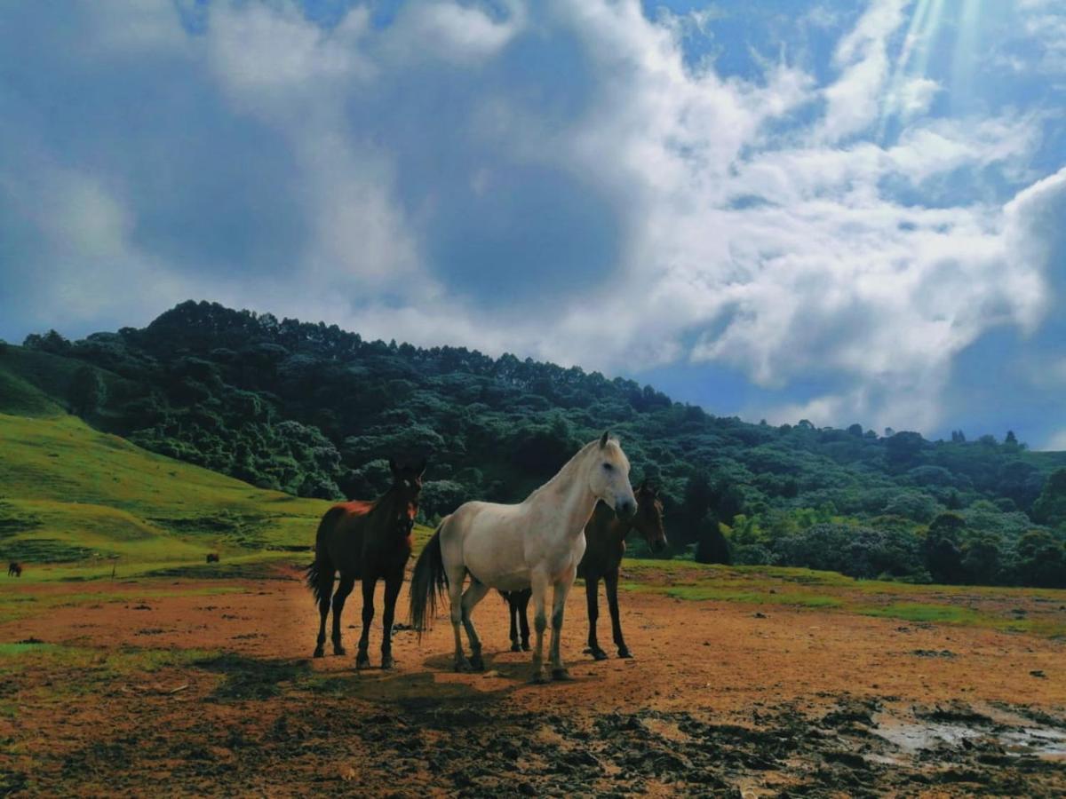Finca Recreacional Marcelandia 圣罗莎德卡瓦尔 外观 照片