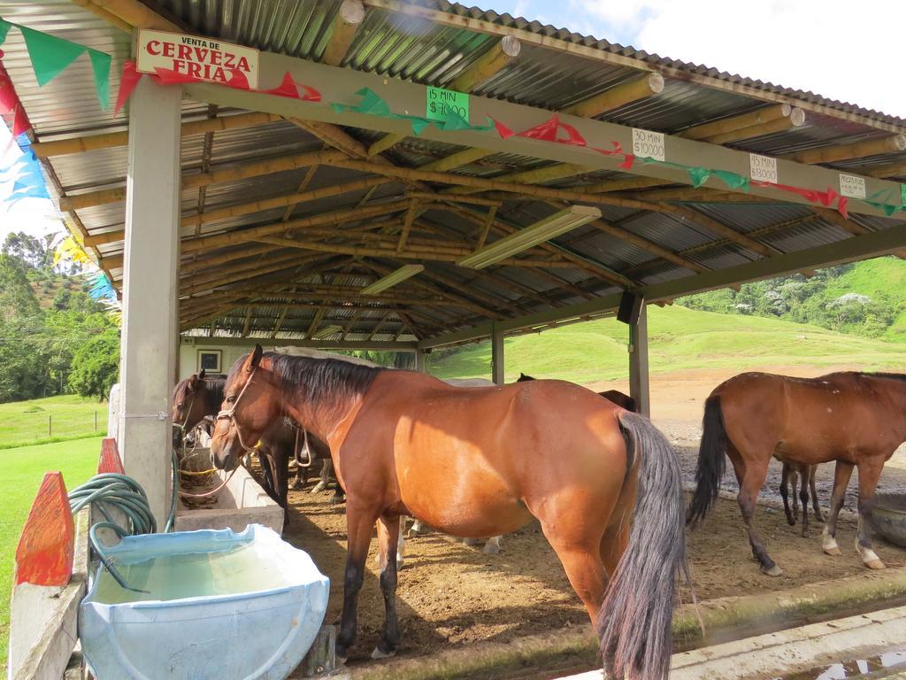 Finca Recreacional Marcelandia 圣罗莎德卡瓦尔 外观 照片